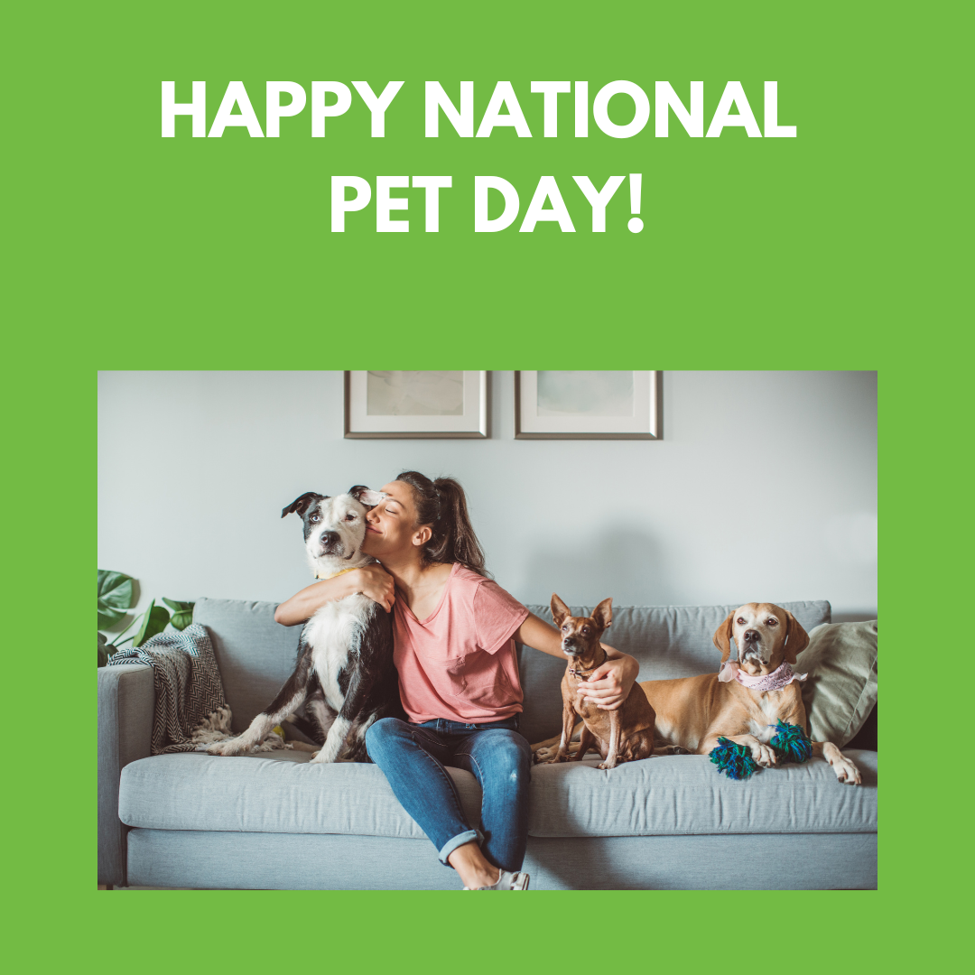 NATIONAL PET DAY