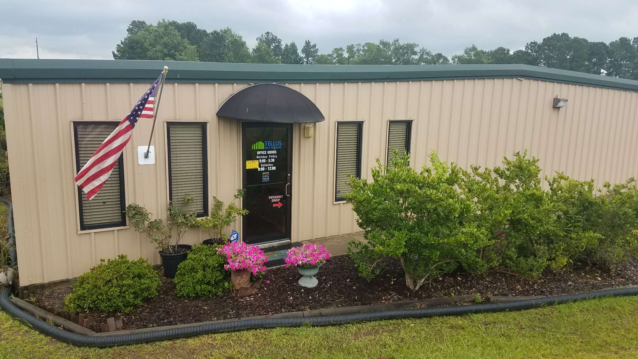 Tellus Self Storage - Sims